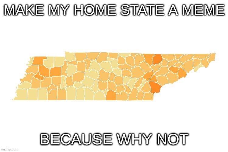 Because why not | MAKE MY HOME STATE A MEME; BECAUSE WHY NOT | made w/ Imgflip meme maker