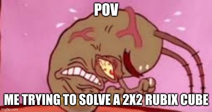 Visible Frustration | POV; ME TRYING TO SOLVE A 2X2 RUBIX CUBE | image tagged in visible frustration | made w/ Imgflip meme maker