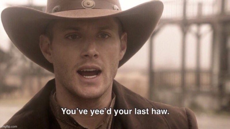 You've Yee'd Your Last Haw | image tagged in you've yee'd your last haw | made w/ Imgflip meme maker