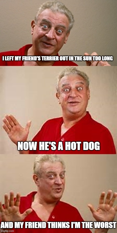 Hot dog/ braadworst | I LEFT MY FRIEND'S TERRIER OUT IN THE SUN TOO LONG; NOW HE'S A HOT DOG; AND MY FRIEND THINKS I'M THE WORST | image tagged in bad pun dangerfield | made w/ Imgflip meme maker