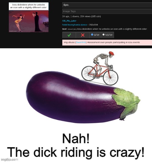 image tagged in nah the dick riding is crazy | made w/ Imgflip meme maker