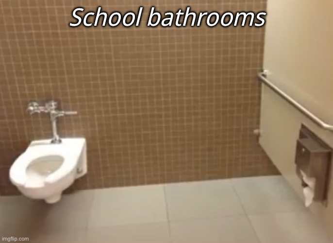 Idk who in the hell would put the toilet paper on the wall away from you. | School bathrooms | made w/ Imgflip meme maker