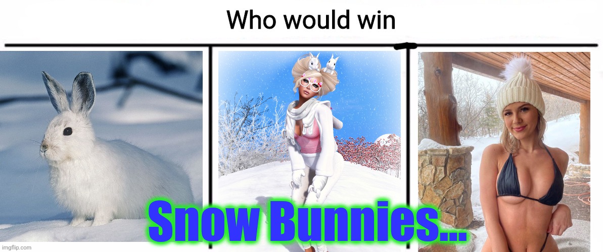 3x who would win | Snow Bunnies... | image tagged in 3x who would win | made w/ Imgflip meme maker