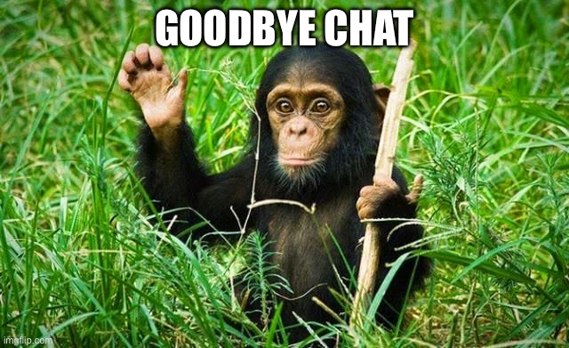 E | GOODBYE CHAT | image tagged in goodbye | made w/ Imgflip meme maker