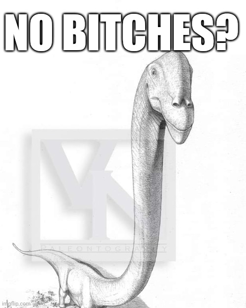 No dinobitches? | NO BITCHES? | image tagged in no bitches | made w/ Imgflip meme maker