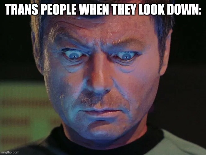 Star Trek McCoy wide eyes looking down | TRANS PEOPLE WHEN THEY LOOK DOWN: | image tagged in star trek mccoy wide eyes looking down | made w/ Imgflip meme maker