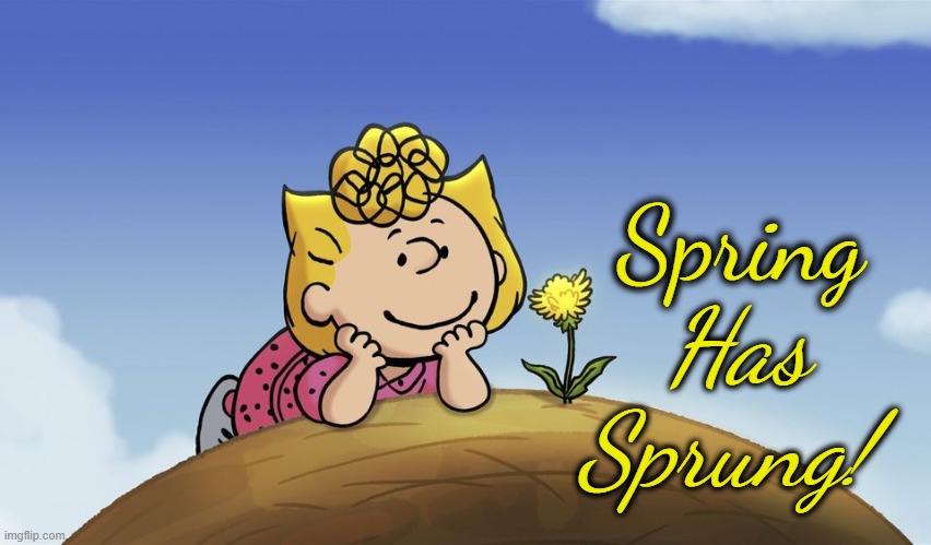 Spring Has Sprung | Spring; Has Sprung! | image tagged in spring has sprung,sally brown,peanuts | made w/ Imgflip meme maker
