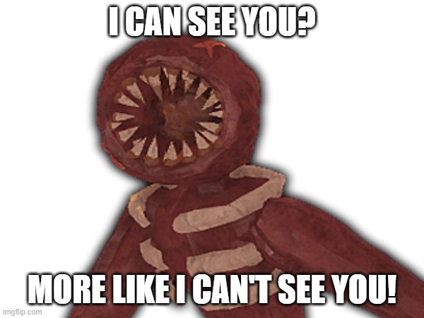 I Can('t) See You | I CAN SEE YOU? MORE LIKE I CAN'T SEE YOU! | image tagged in doors,memes,blank white template | made w/ Imgflip meme maker
