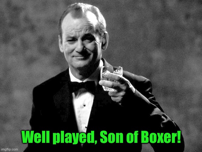 Bill Murray well played sir | Well played, Son of Boxer! | image tagged in bill murray well played sir | made w/ Imgflip meme maker