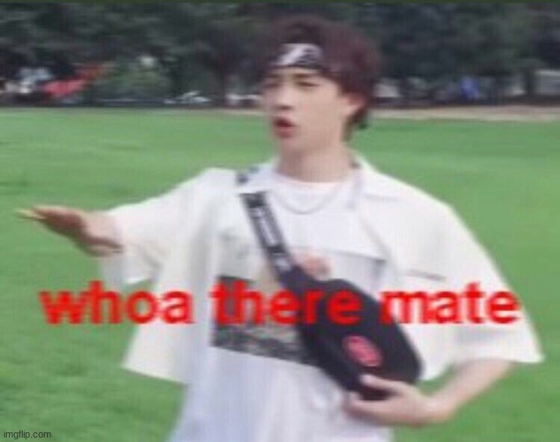 whoa there mate | image tagged in whoa there mate | made w/ Imgflip meme maker