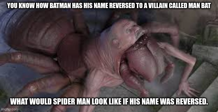 i am sorry for all those with arachnophobia | YOU KNOW HOW BATMAN HAS HIS NAME REVERSED TO A VILLAIN CALLED MAN BAT; WHAT WOULD SPIDER MAN LOOK LIKE IF HIS NAME WAS REVERSED. | image tagged in nightmare man spider | made w/ Imgflip meme maker