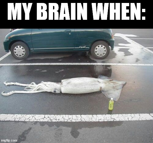 ? | MY BRAIN WHEN: | image tagged in squid parking | made w/ Imgflip meme maker