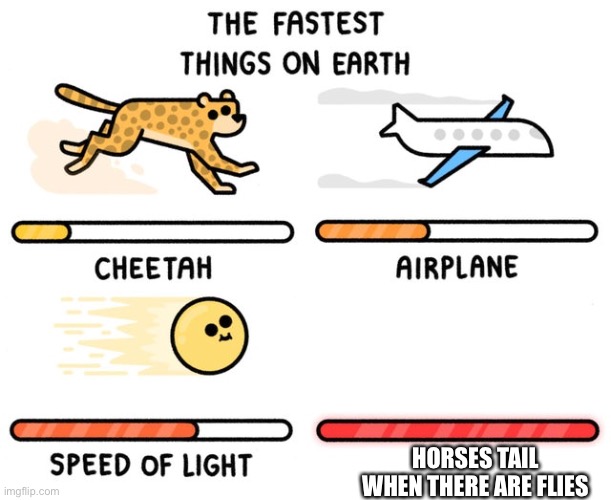 Only horse people get it | HORSES TAIL WHEN THERE ARE FLIES | image tagged in fastest thing possible | made w/ Imgflip meme maker