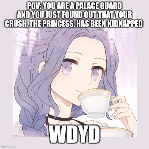 Normal rules. I am just trying to get the most of the same plotline lol | POV: YOU ARE A PALACE GUARD AND YOU JUST FOUND OUT THAT YOUR CRUSH, THE PRINCESS, HAS BEEN KIDNAPPED; WDYD | image tagged in roleplaying | made w/ Imgflip meme maker