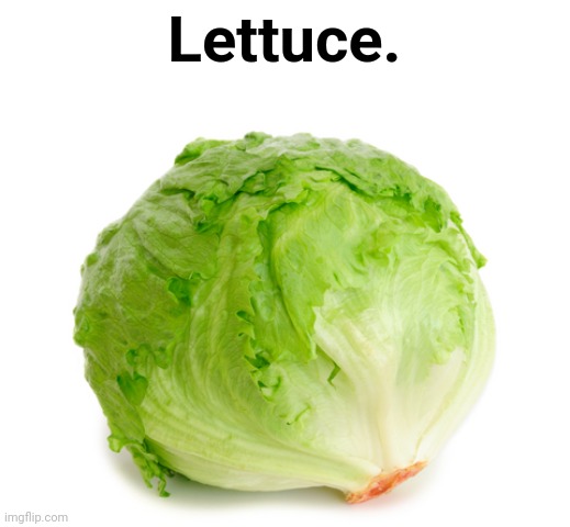 Lettuce. | Lettuce. | image tagged in lettuce | made w/ Imgflip meme maker