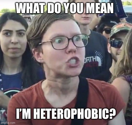 Triggered feminist | WHAT DO YOU MEAN I’M HETEROPHOBIC? | image tagged in triggered feminist | made w/ Imgflip meme maker