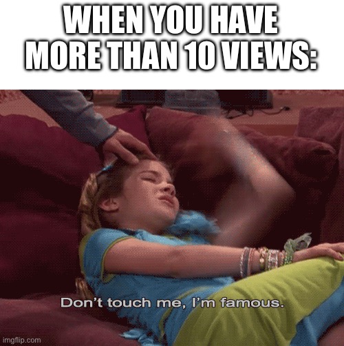 Every New User Had This? | WHEN YOU HAVE MORE THAN 10 VIEWS: | image tagged in don't touch me i'm famous | made w/ Imgflip meme maker