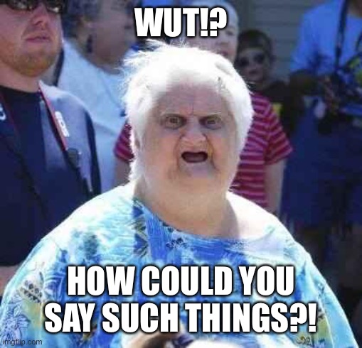 wut | WUT!? HOW COULD YOU SAY SUCH THINGS?! | image tagged in wut | made w/ Imgflip meme maker