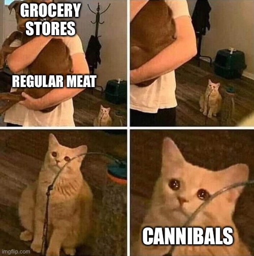 Ignored cat | GROCERY STORES; REGULAR MEAT; CANNIBALS | image tagged in ignored cat | made w/ Imgflip meme maker