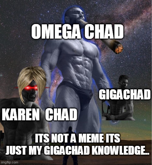 CHADS | OMEGA CHAD; GIGACHAD; KAREN  CHAD; ITS NOT A MEME ITS JUST MY GIGACHAD KNOWLEDGE.. | image tagged in omega chad,memes | made w/ Imgflip meme maker