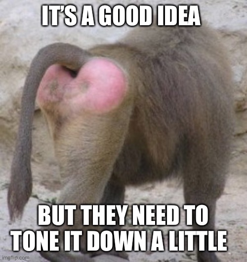 Kiss my ass its friday | IT’S A GOOD IDEA BUT THEY NEED TO TONE IT DOWN A LITTLE | image tagged in kiss my ass its friday | made w/ Imgflip meme maker