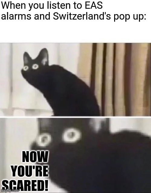 EAS | When you listen to EAS alarms and Switzerland's pop up:; NOW YOU'RE SCARED! | image tagged in oh no black cat,eas,switzerland,scary,relatable | made w/ Imgflip meme maker