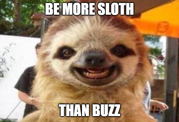 Be more sloth than buzz | BE MORE SLOTH; THAN BUZZ | image tagged in yay sloth,slothbuzz | made w/ Imgflip meme maker