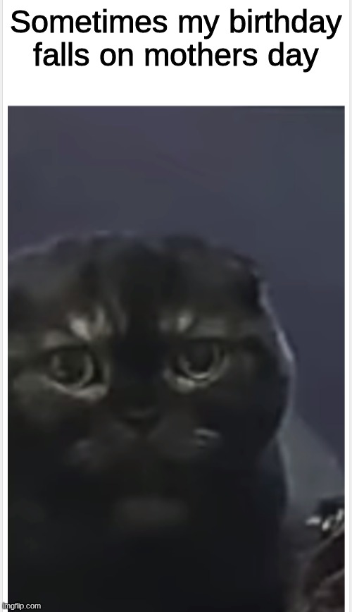 Debt Cat with Caption | Sometimes my birthday falls on mothers day | image tagged in debt cat with caption | made w/ Imgflip meme maker