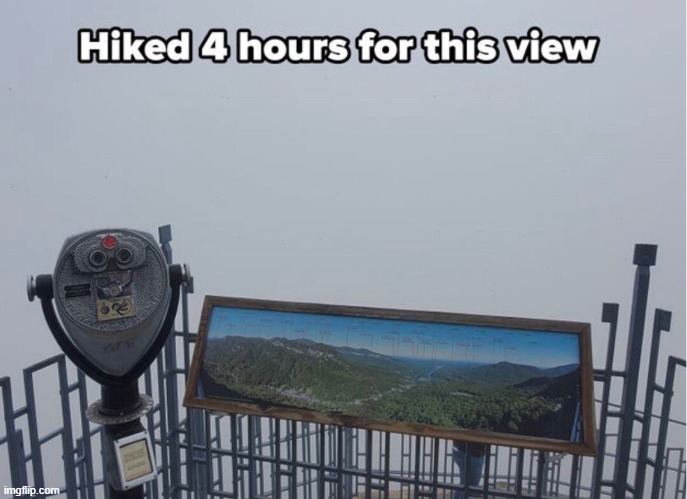 image tagged in memes | made w/ Imgflip meme maker