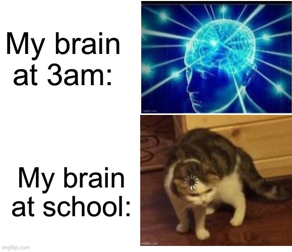Why is this so true | My brain at 3am:; My brain at school: | image tagged in expanding brain,loading cat,memes,school,3am,funny | made w/ Imgflip meme maker