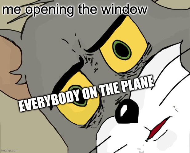now thats scary | me opening the window; EVERYBODY ON THE PLANE | image tagged in memes,unsettled tom | made w/ Imgflip meme maker