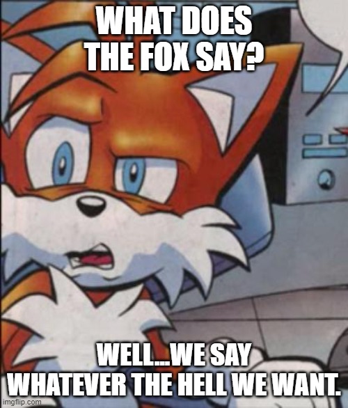 Facts | WHAT DOES THE FOX SAY? WELL...WE SAY WHATEVER THE HELL WE WANT. | image tagged in tails wtf | made w/ Imgflip meme maker
