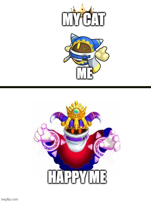 My cat | MY CAT; ME; HAPPY ME | image tagged in magolor crown crowned | made w/ Imgflip meme maker
