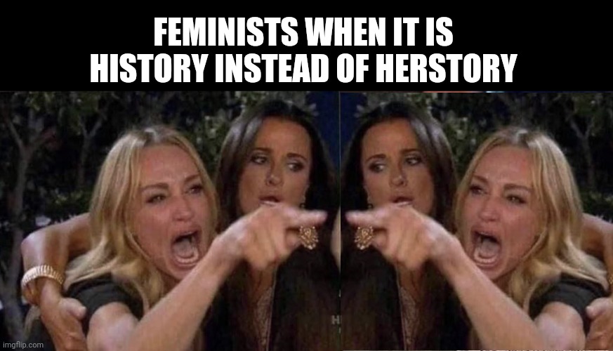 It do be like that | FEMINISTS WHEN IT IS HISTORY INSTEAD OF HERSTORY | image tagged in woman yelling at cat | made w/ Imgflip meme maker