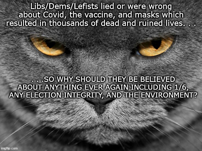 At this point they're making the Boy Who Cried Wolf look like the most honest person that ever lived. | Libs/Dems/Lefists lied or were wrong about Covid, the vaccine, and masks which resulted in thousands of dead and ruined lives. . . . . .SO WHY SHOULD THEY BE BELIEVED ABOUT ANYTHING EVER AGAIN INCLUDING 1/6, ANY ELECTION INTEGRITY, AND THE ENVIRONMENT? | image tagged in grumpy graey cat,liars,politics | made w/ Imgflip meme maker