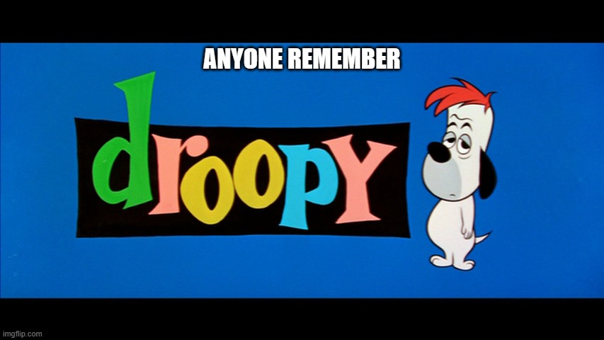 anyone remember droopy? | ANYONE REMEMBER | image tagged in classic cartoons,droopy | made w/ Imgflip meme maker