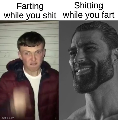 Farts and Shits | Shitting while you fart; Farting while you shit | image tagged in average fan vs average enjoyer,memes,funny,funny memes,giga chad | made w/ Imgflip meme maker