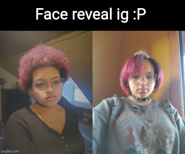 Might regret this a lot | Face reveal ig :P | image tagged in face reveal | made w/ Imgflip meme maker