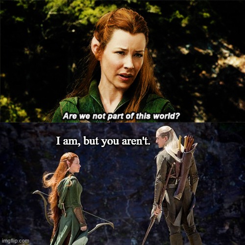 Tauriel's True Standing in Tolkien | I am, but you aren't. | image tagged in the hobbit,tolkien,memes,tauriel,legolas | made w/ Imgflip meme maker