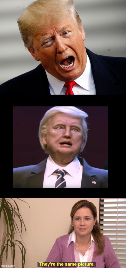 image tagged in trump malfunctioning,donald trump robot disney animatronic president maga,memes,they're the same picture | made w/ Imgflip meme maker