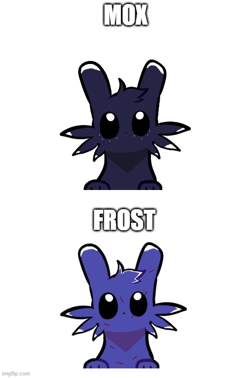 Mox and Frost | MOX; FROST | image tagged in blank white template | made w/ Imgflip meme maker