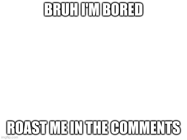 Image Title | BRUH I'M BORED; ROAST ME IN THE COMMENTS | image tagged in image tags | made w/ Imgflip meme maker