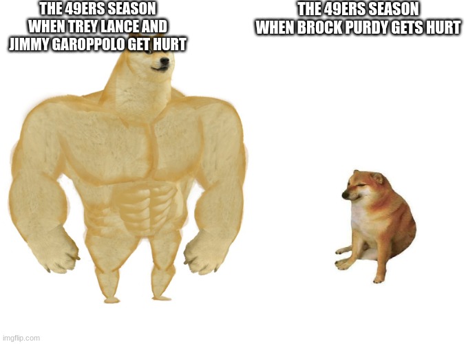 Big dog small dog | THE 49ERS SEASON WHEN TREY LANCE AND JIMMY GAROPPOLO GET HURT; THE 49ERS SEASON WHEN BROCK PURDY GETS HURT | image tagged in big dog small dog | made w/ Imgflip meme maker