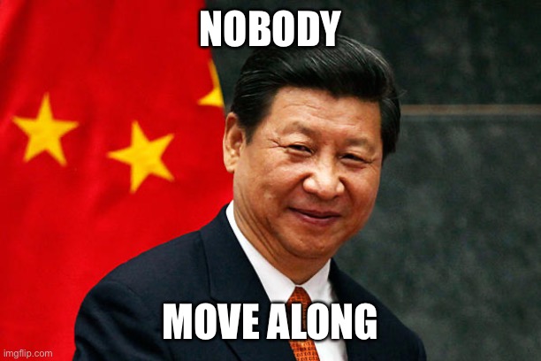 Xi Jinping | NOBODY MOVE ALONG | image tagged in xi jinping | made w/ Imgflip meme maker