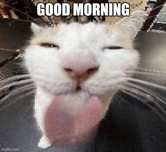 bleh | GOOD MORNING | image tagged in bleh | made w/ Imgflip meme maker