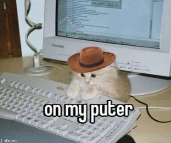 on my puter | image tagged in memes,funny memes,cats | made w/ Imgflip meme maker