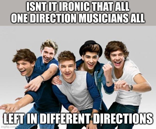 One Direction | ISNT IT IRONIC THAT ALL ONE DIRECTION MUSICIANS ALL; LEFT IN DIFFERENT DIRECTIONS | image tagged in one direction | made w/ Imgflip meme maker