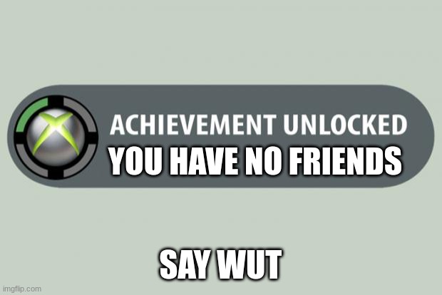 i dont have any lol | YOU HAVE NO FRIENDS; SAY WUT | image tagged in achievement unlocked | made w/ Imgflip meme maker