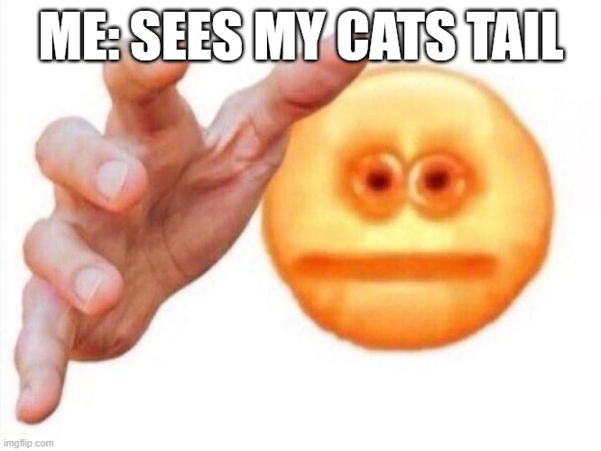 ahaha | ME: SEES MY CATS TAIL | image tagged in cursed emoji hand grabbing | made w/ Imgflip meme maker