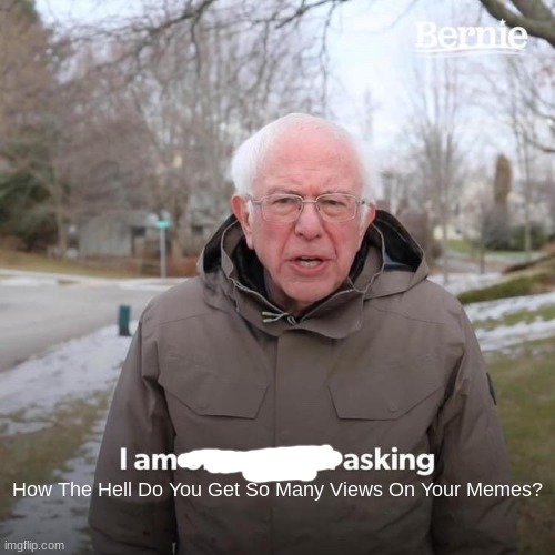 Bernie I Am Once Again Asking For Your Support Meme | How The Hell Do You Get So Many Views On Your Memes? | image tagged in memes,bernie i am once again asking for your support | made w/ Imgflip meme maker